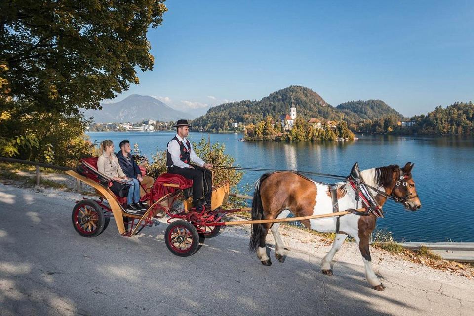 Ferienwohnung Tourist House Capricorn Bled Exterior foto